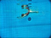 delfin-3