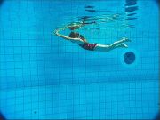 delfin-4