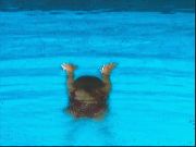 delfin-5