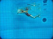 delfin-6
