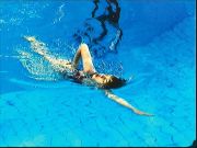 haifisch-2